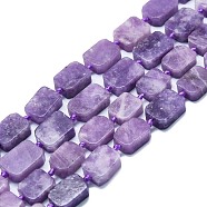 Natural Lepidolite/Purple Mica Stone Beads Strands, Rectangle, 15~17x10~13x5~7mm, Hole: 1mm, about 22pcs/strand, 15.94''(40.5cm)(G-K245-J05-01)