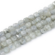 Natural Labradorite Beads Strands, Faceted, Cube, 6~6.5x6~6.5x6.5mm, Hole: 1mm, about 62pcs/strand, 14.8 inch(37.6cm)(G-I270-04)