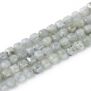 Natural Labradorite Beads Strands, Faceted, Cube, 6~6.5x6~6.5x6.5mm, Hole: 1mm, about 62pcs/strand, 14.8 inch(37.6cm)