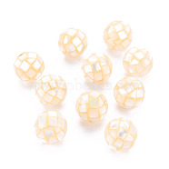 Resin Beads, with Natural White Shell, Round, Champagne Yellow, 12.5mm, Hole: 1mm(SSHEL-T014-38-12mm-05)