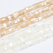 Natural Trochid Shell/Trochus Shell Beads Strands, Column, Mixed Color, 3.5~4x2~2.5mm, Hole: 0.8mm, about 176pcs/strand, 15.94 inch(40.5cm)(SSHEL-L016-13)