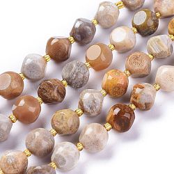Natural Fossil Coral Beads Strands, with Seed Beads, Six Sided Celestial Dice, 10~10.5x10~10.5mm, Hole: 1mm, about 32~35pcs/strand, 15.55~15.74inch(39.5~40cm)(G-A030-B02-10mm)