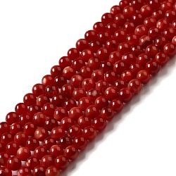 Natural Freshwater Shell Beads Strands, Round, Dyed, Brown, 3mm, Hole: 0.5mm, about 124~132pcs/strand, 14.96''(38cm)(SHEL-H003-03G)