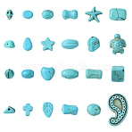 120Pcs 24 Styles Synthetic Turquoise Beads, Dyed, Mixed Shapes, 8~28x6~22x2~10mm, Hole: 1~2.8mm, 5pcs/style(TURQ-CJ0001-81)
