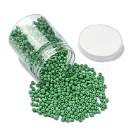 1300Pcs 6/0 Glass Seed Beads, Opaque Colours, Round, Small Craft Beads for DIY Jewelry Making, Pale Green, 4mm, Hole: 1.5mm(SEED-YW0002-19B)