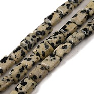 Natural Dalmatian Jasper Beads Strands, Rectangle, 8~9x6.5~7x4mm, Hole: 0.8mm, about 45pcs/strand, 15.16 inch(38.5cm)(G-G085-A13-01)