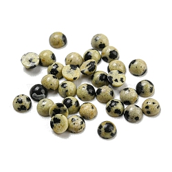 Natural Dalmatian Jasper Cabochons, Half Round, 4x2~2.5mm(G-H309-03-50)