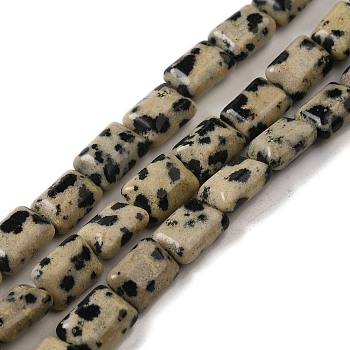 Natural Dalmatian Jasper Beads Strands, Rectangle, 8~9x6.5~7x4mm, Hole: 0.8mm, about 45pcs/strand, 15.16 inch(38.5cm)