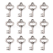 Gifts Ideas for Her Tibetan Style Alloy Pendants, Lead Free and Cadmium Free, Antique Silver, Skeleton Key, about 15.5mm long, 9mm wide, 2.5mm thick, hole: 1mm(X-LF11975Y)
