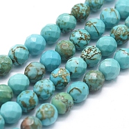 Natural Howlite Beads Strands, Dyed & Heated, Round, 6mm, Hole: 0.8mm, about 65pcs/Strand, 15.35 inch(39cm)(X-G-D0012-01B)