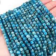 Natural Apatite Beads Strands, Faceted, Cube, 4~5x4~5x4~5mm, Hole: 0.7mm, about 72~76pcs/Strand, 15 inch(38cm)(G-E560-A07-4mm-A)