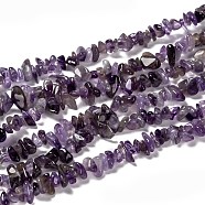 Natural Amethyst Beads Strands, Chips, 5~9x5~9mm, Hole: 1mm(Z0RRN)