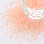 8/0 Transparent Glass Seed Beads, Round Hole, Frosted Colours, Round, PeachPuff, 3~4x2~3mm, Hole: 0.8mm, about 15000pcs/Pound(SEED-S048-H-013)