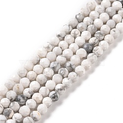Natural Howlite Beads Strands, Faceted, Round, 4~4.5mm, Hole: 0.8mm, about 99pcs/strand, 15.35''(39cm)(G-H273-02C)