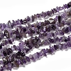 Natural Amethyst Beads Strands, Chips, 5~9x5~9mm, Hole: 1mm(Z0RRN)