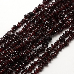Natural Garnet Beads Strands, Grade AB, Chips, 6~12x4~6x3~5mm, Hole: 1mm, 32 inch(G-P035-18)