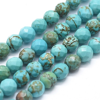 Natural Howlite Beads Strands, Dyed & Heated, Round, 6mm, Hole: 0.8mm, about 65pcs/Strand, 15.35 inch(39cm)