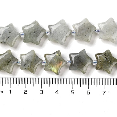 Natural Labradorite Beads Strands(G-NH0005-020)-5