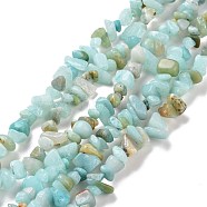 Natural Amazonite Chips Beads Strands, 5~8x5~8mm, Hole: 1mm, about 31.5 inch(G-M205-12A)