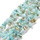 Natural Amazonite Chips Beads Strands(G-M205-12A)-1