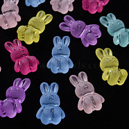 Frosted Acrylic Beads, Rabbit, Mixed Color, 24.5x14.5x11mm, Hole: 2.5mm(X-MACR-S373-50K)