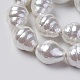 Shell Pearl Beads Strands(BSHE-F013-11)-2