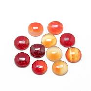 Natural Agate Cabochons, Dyed, Half Round/Dome, 6x3~4mm(G-R416-6mm-12)