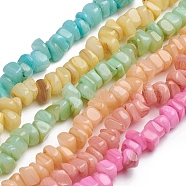 Shell Beads Strands, for Jewelry Making, DIY Crafts, Dyed, Nuggets Chips, Mixed Color, 6.2x6.2x1.3mm, Hole: 0.8mm, about 107pcs/strand, 15.16 inch(38.5cm)(BSHE-G026-02)