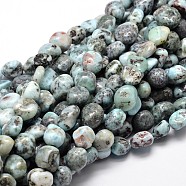 Natural Larimar Chip Beads Strands, 11~13x10~12mm, Hole: 1mm, about 15.5 inch(X-G-E271-128)
