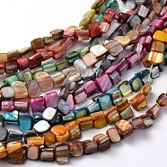 Irregular Natural Sea Shell Beads Strands, Dyed, Mixed Color, 8x6~8mm, Hole: 1mm, about 53pcs/strands, 16 inch(SSHEL-X0001)