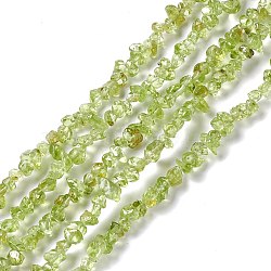 Natural Peridot Chip Beads Strands, 4~6x3.5~6x2.5~3mm, Hole: 0.8mm, about 256pcs/strand, 31.50 inch(80cm)(G-G905-09)