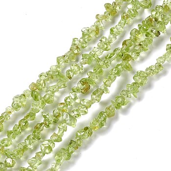 Natural Peridot Chip Beads Strands, 4~6x3.5~6x2.5~3mm, Hole: 0.8mm, about 256pcs/strand, 31.50 inch(80cm)