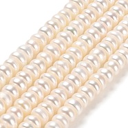 Natural Cultured Freshwater Pearl Beads Strands, Grade 5A, Rondelle, Old Lace, 5~6x3~4mm, Hole: 0.7mm, about 98~100pcs/strand, 14.37''~14.57''(36.5~37cm)(PEAR-J007-10)