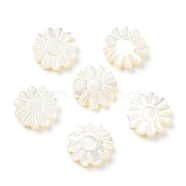 Natural Trochid Shell/Trochus Shell Beads, Flower, Seashell Color, 10x9~10x2.5mm, Hole: 0.9mm(SSHEL-R145-01)