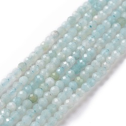 Natural Amazonite Beads Strands, Round, Faceted, 2.5mm, Hole: 0.5mm, about 165pcs/strand, 15.7 inch(40cm).(G-E351-10A)