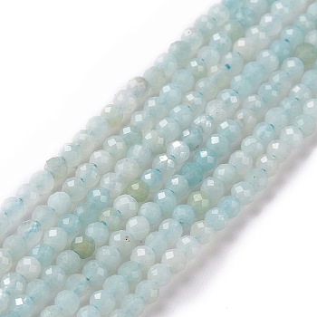 Natural Amazonite Beads Strands, Round, Faceted, 2.5mm, Hole: 0.5mm, about 165pcs/strand, 15.7 inch(40cm).