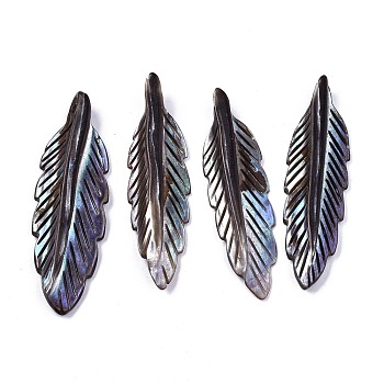 Natural Freshwater Shell Pendants, Dyed, Carved, Feather, Gray, 42~43x12~13x4.5mm, Hole: 1.5mm
