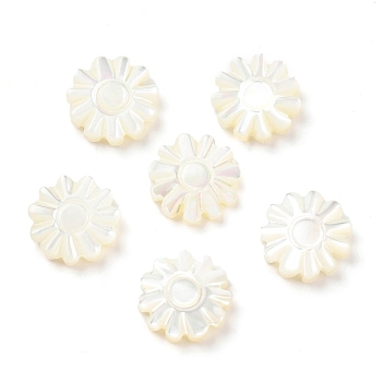Natural Trochid Shell/Trochus Shell Beads, Flower, Seashell Color, 10x9~10x2.5mm, Hole: 0.9mm