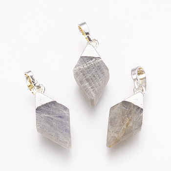 Natural Labradorite Pointed Pendants, with Brass Findings, Bullet, Silver Color Plated, 18.5x9x4~5mm, Hole: 4x6mm