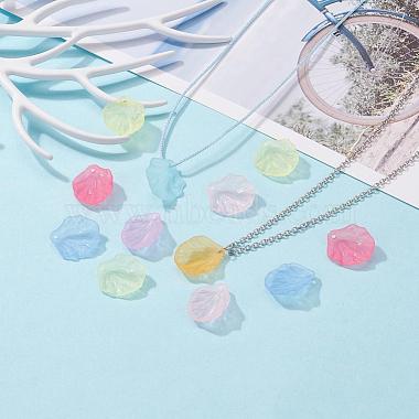 Transparent Frosted Acrylic Pendants(X-MACR-S371-01A)-6