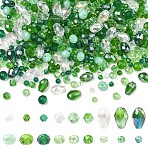 18 Strands 18 Styles Glass Beads Strands, Rondelle & Bicone, Faceted, Pale Green, 4~12x3~8mm, Hole: 0.4~1.2mm, 1strand/style(GLAA-YW0005-53A)