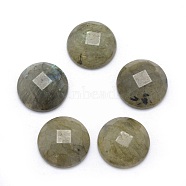 Natural Labradorite Cabochons, Faceted, Half Round, 14~14.5x5mm(G-P393-P06-14.5mm)