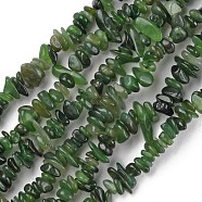 Natural Jade Beads Strands, Chip, 5~8x5~8x2.5~8mm, Hole: 0.6mm, 30.94~31.97''(78.6~81.2cm)(G-G0003-B37)