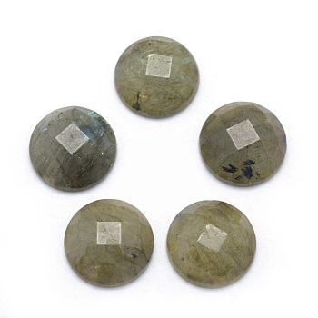 Natural Labradorite Cabochons, Faceted, Half Round, 14~14.5x5mm