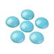 Synthetic Turquoise Cabochons(TURQ-L031-035)-1