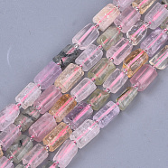 Natural Mixed Quartz Beads Strands, Faceted, Column, 9.5~11x6.5~8x7~8mm, Hole: 0.8mm, about 15~17pcs/strand, 7.28~7.48 inch(G-S345-8x11-016)
