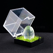 Natural Quartz Crystal Healing Egg Mineral Specimen Box, Reiki Raw Stone for Energy Balancing Meditation Therapy, 20x17mm(PW-WG56386-03)