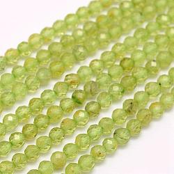 Natural Peridot Beads Strands, Faceted, Round, 4mm, Hole: 0.5mm, about 96pcs/strand, 15.7 inch(40cm)(G-F509-12-4mm)