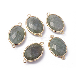Golden Tone Brass Natural Labradorite Links connectors, Faceted, Oval, 26x15x6mm, Hole: 1~2mm(G-F339-A15)