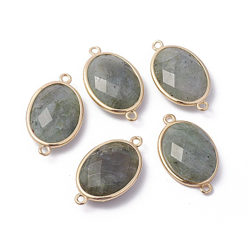 Golden Tone Brass Natural Labradorite Links connectors, Faceted, Oval, 26x15x6mm, Hole: 1~2mm